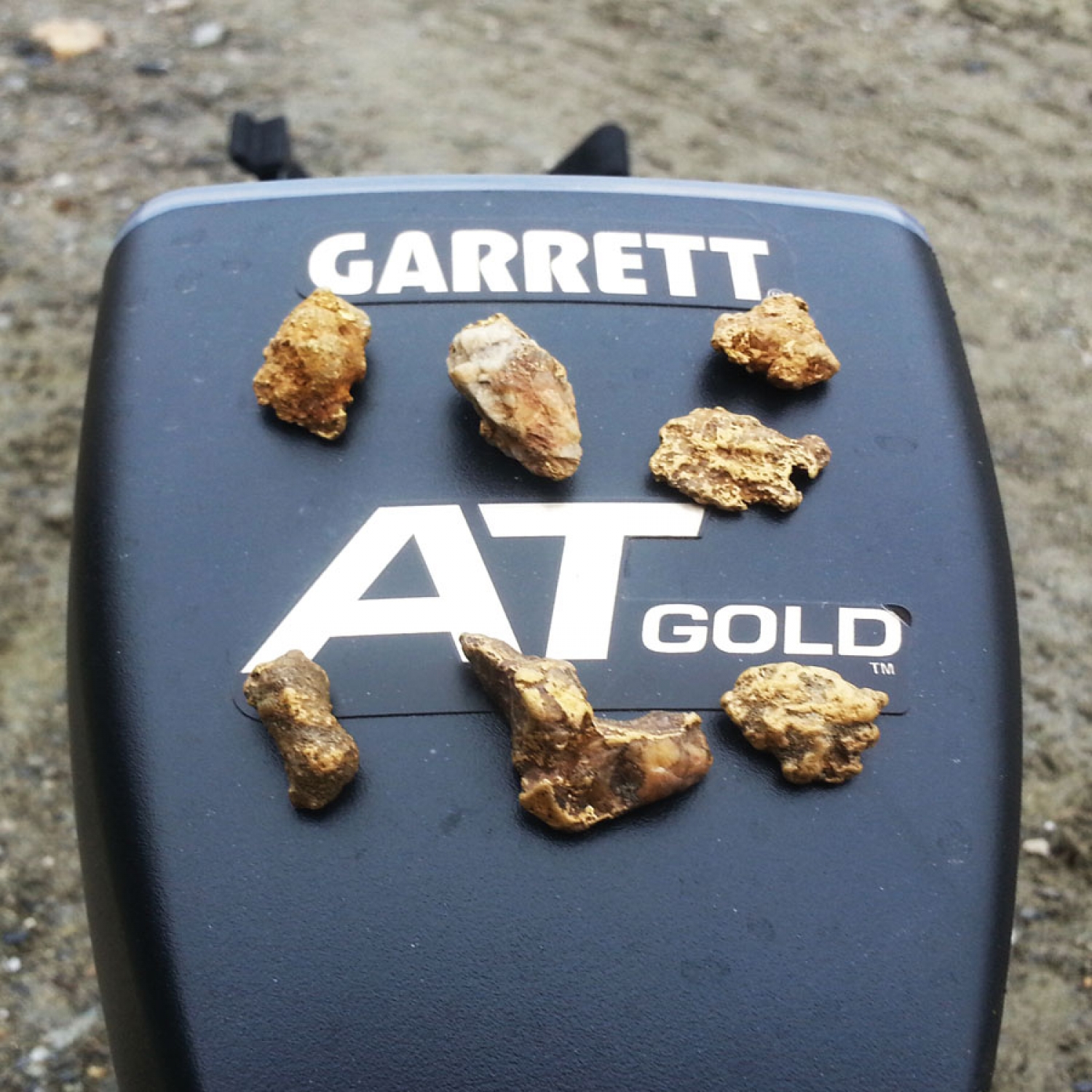 فلزیاب گرت گولد Garrett AT Gold - Image 11