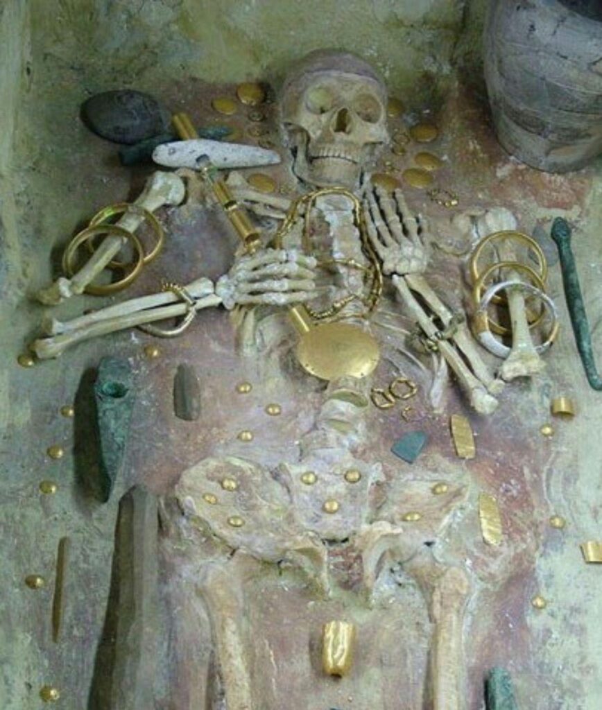 آموزش و معرفی انواع فلزیاب 